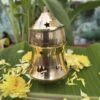 Patcha Karpoora Brass Vilakku 5 Inch (200g) +Free Patcha Karpooram - 1Box Pure Brass Pooja Lamp for Wealth, Vastu & Positive Energy