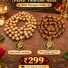 Shasti Viratham Malai Combo – Tulasi Malai 108 Beads + Rudraksham Poomalai 54 Beads with Cup | FREE Murugan Dollar | ₹249 Only